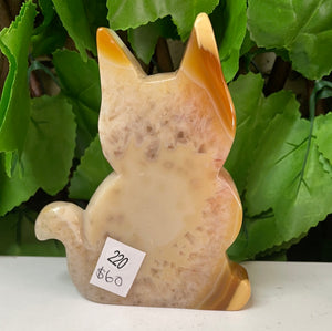 AGATE DRUZY CAT CARVING