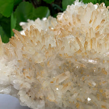 Load image into Gallery viewer, QUARTZ / CITRINE POINT CLUSTER
