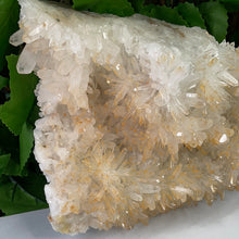 Load image into Gallery viewer, QUARTZ / CITRINE POINT CLUSTER
