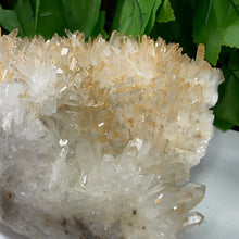 Load image into Gallery viewer, QUARTZ / CITRINE POINT CLUSTER
