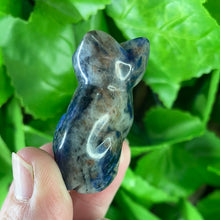 Load image into Gallery viewer, CAT CARVING - SODALITE
