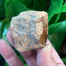 Load image into Gallery viewer, PETRIFIED WOOD LOG
