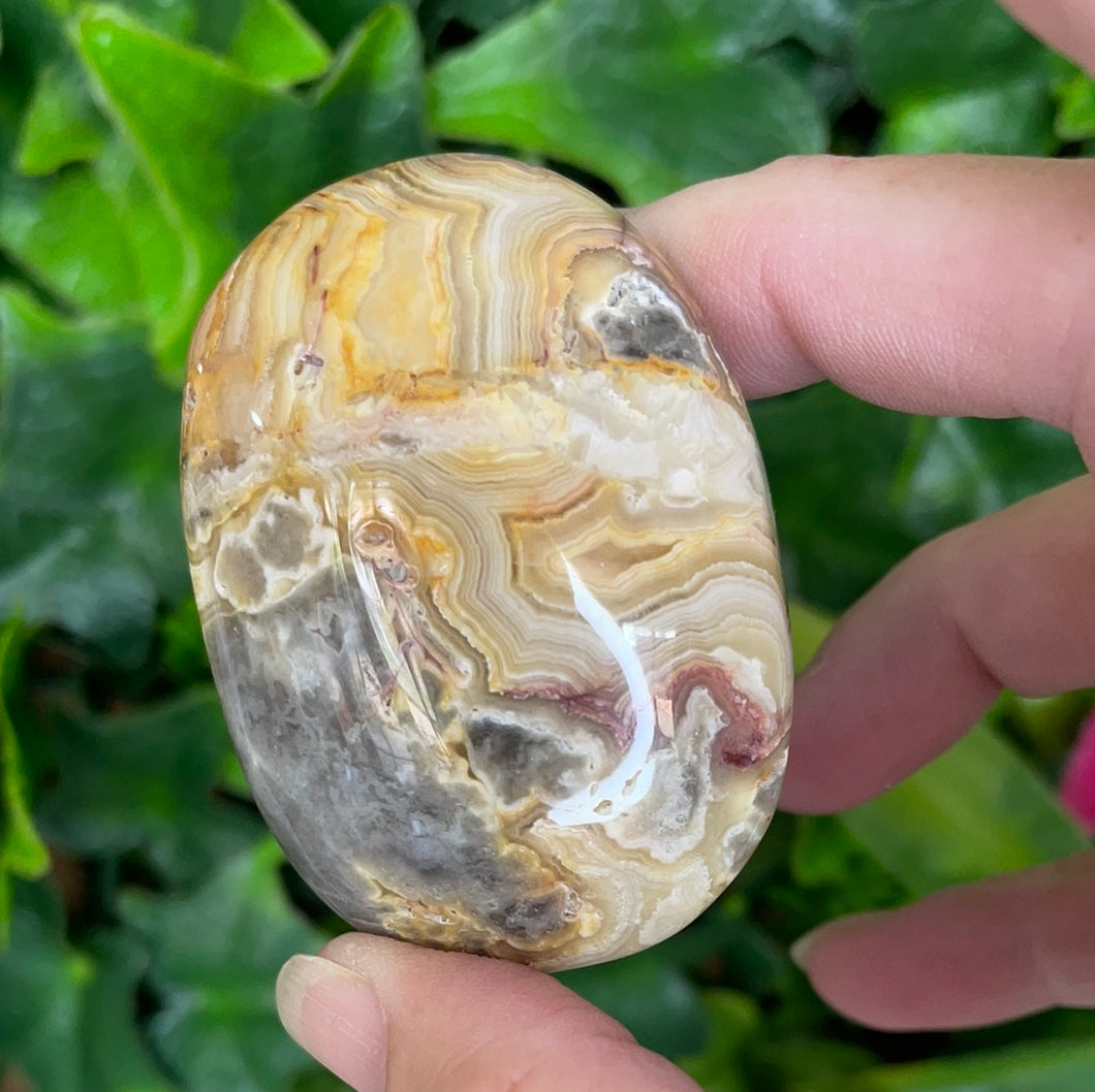 CRAZY LACE AGATE PALM STONE