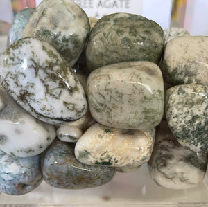 TREE AGATE TUMBLE STONE