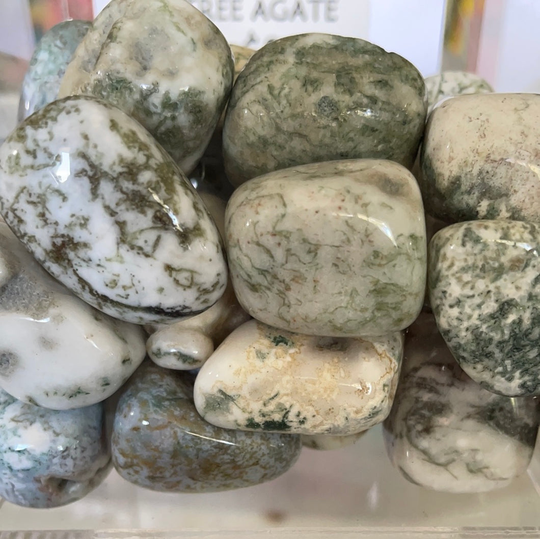 TREE AGATE TUMBLE STONE