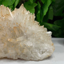 Load image into Gallery viewer, QUARTZ / CITRINE POINT CLUSTER
