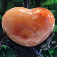 Load image into Gallery viewer, TREE OF LIFE CUSTOM STAND INCLUDES HEARTS
