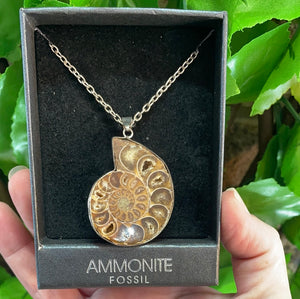 AMMONITE PENDANT