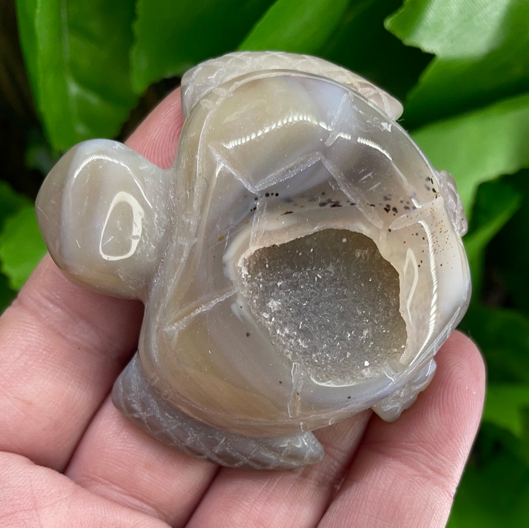 TURTLE CARVING - AGATE DRUZY