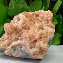 Load image into Gallery viewer, STILBITE PEACH
