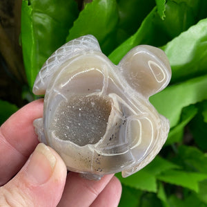 TURTLE CARVING - AGATE DRUZY