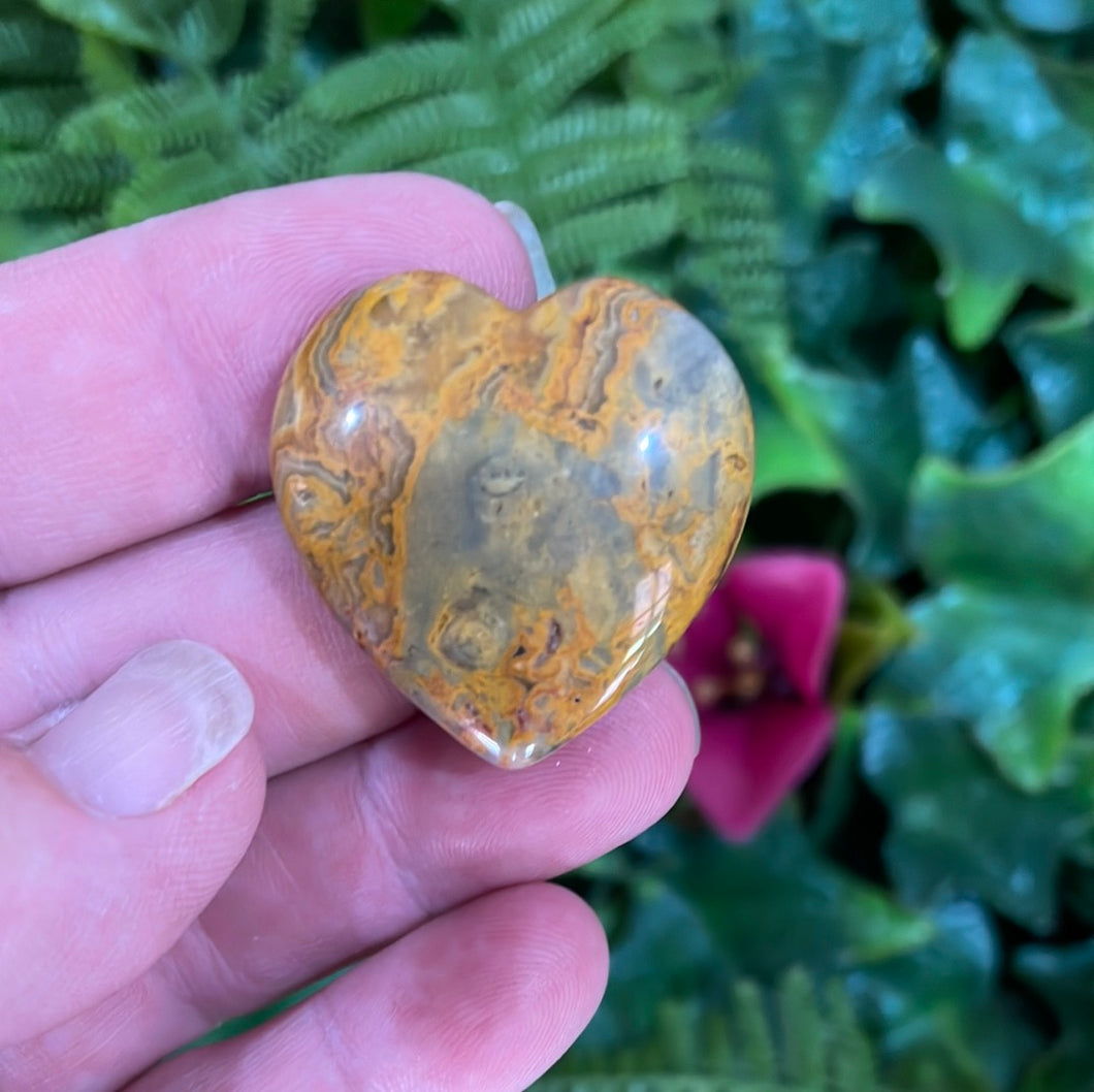 HEART CARVING - CRAZY LACE AGATE