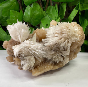 SCOLECITE & STILBITE