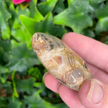 Load image into Gallery viewer, CRAZY LACE AGATE PALM STONE
