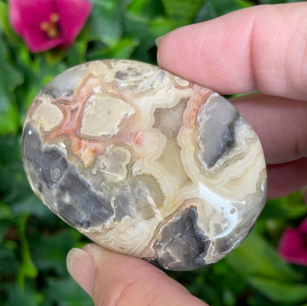 CRAZY LACE AGATE PALM STONE