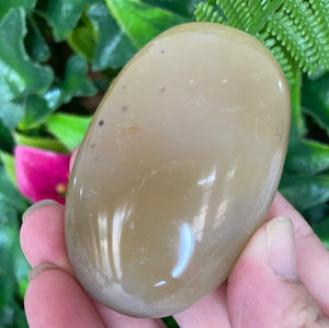 DENDRITIC AGATE PALM STONE