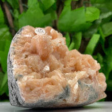 Load image into Gallery viewer, STILBITE PEACH
