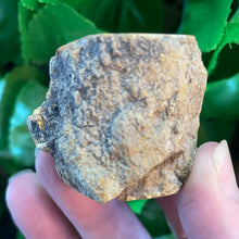 Load image into Gallery viewer, PETRIFIED WOOD LOG
