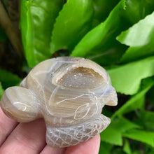 Load image into Gallery viewer, TURTLE CARVING - AGATE DRUZY
