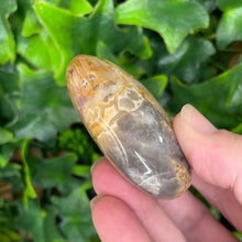 Load image into Gallery viewer, CRAZY LACE AGATE PALM STONE
