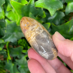 CRAZY LACE AGATE PALM STONE
