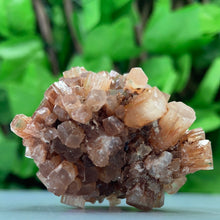 Load image into Gallery viewer, ARAGONITE SPUTNIK
