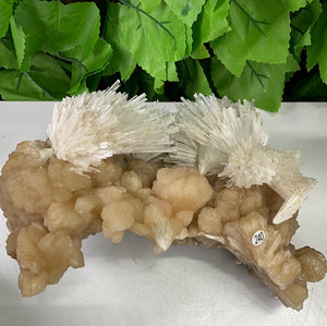 SCOLECITE & STILBITE