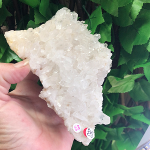 QUARTZ POINT DOUBLE SIDED SLAB