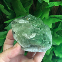 Load image into Gallery viewer, FLUORITE SPECIMEN GREEN
