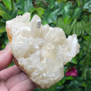 NATURAL QUARTZ CLUSTER