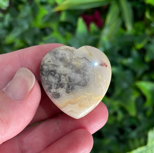 HEART CARVING - CRAZY LACE AGATE