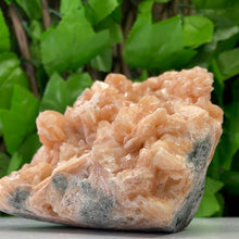 Load image into Gallery viewer, STILBITE PEACH
