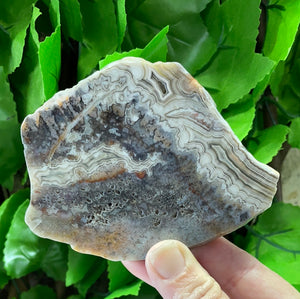 CRAZY LACE AGATE - MEXICAN
