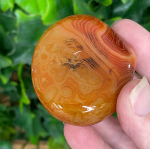 SARONYX PALM STONE
