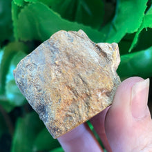 Load image into Gallery viewer, PETRIFIED WOOD LOG
