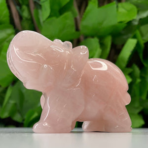 ELEPHANT CARVING - ROSE QUARTZ