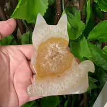 Load image into Gallery viewer, CAT CARVING - AGATE DRUZY

