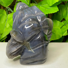 Load image into Gallery viewer, TIGER CARVING - AGATE DRUZY
