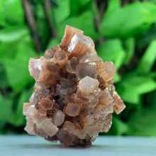 Load image into Gallery viewer, ARAGONITE SPUTNIK
