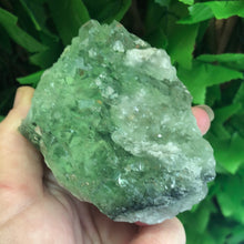 Load image into Gallery viewer, FLUORITE SPECIMEN GREEN
