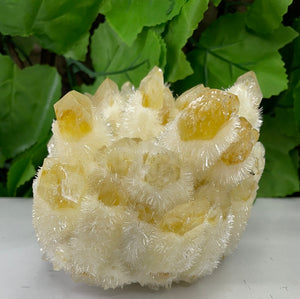 QUARTZ PHANTOM YELLOW