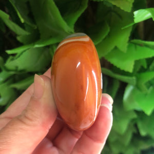 POLYCHROME JASPER PALM STONE