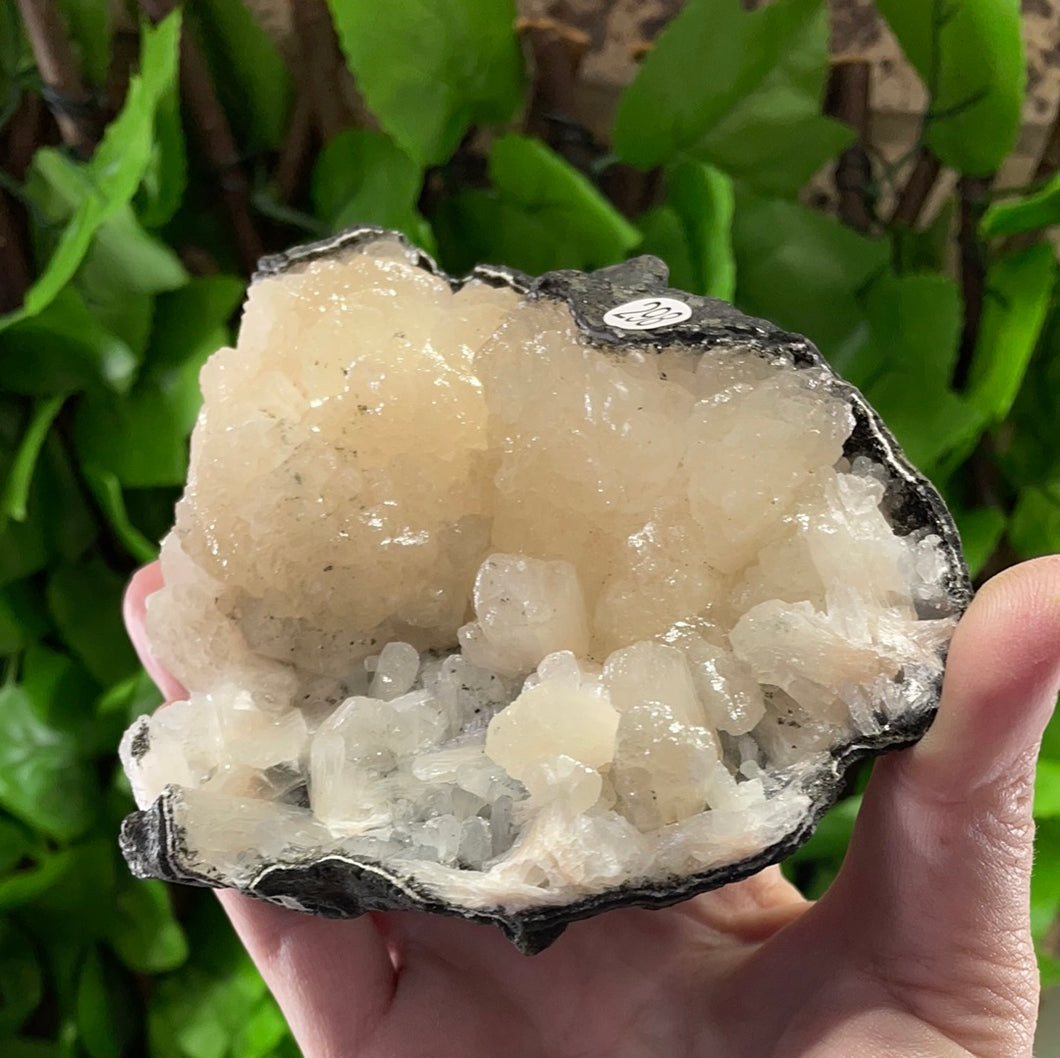 APOPHYLLITE