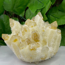 Load image into Gallery viewer, QUARTZ PHANTOM YELLOW
