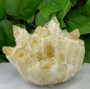QUARTZ PHANTOM YELLOW