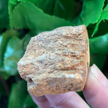 Load image into Gallery viewer, PETRIFIED WOOD LOG
