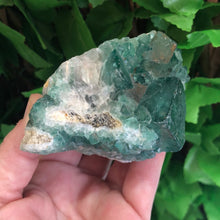 Load image into Gallery viewer, FLUORITE SPECIMEN GREEN
