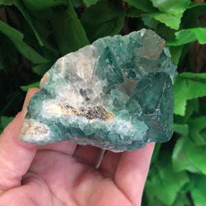 FLUORITE SPECIMEN GREEN