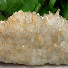Load image into Gallery viewer, QUARTZ / CITRINE POINT CLUSTER
