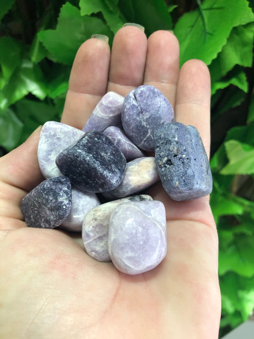 LEPIDOLITE TUMBLE STONE